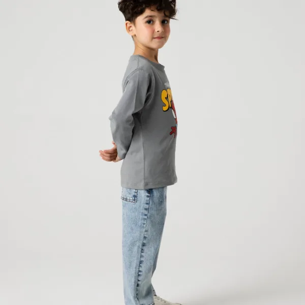 Boys Spidey Grey Hero Tee