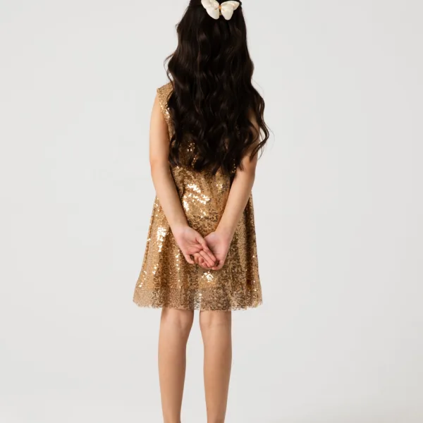 Golden Stardust Sequin Dress