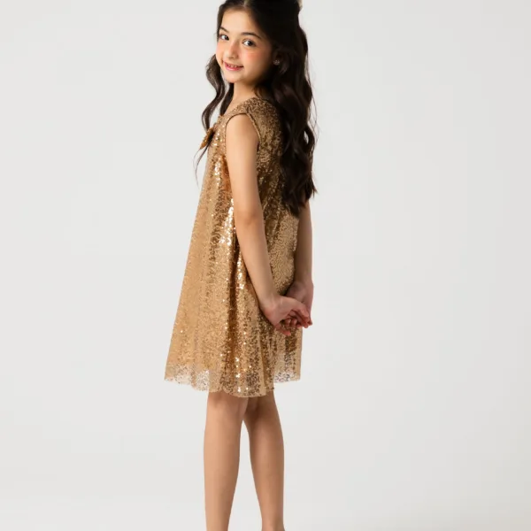 Golden Stardust Sequin Dress